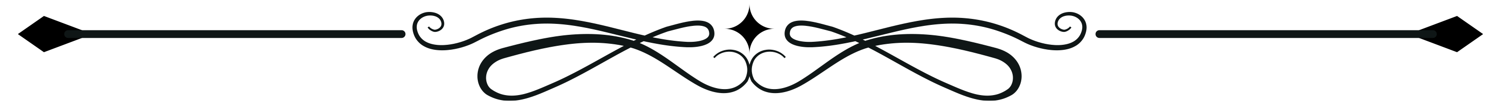 Calligraphy flourish divider flipped